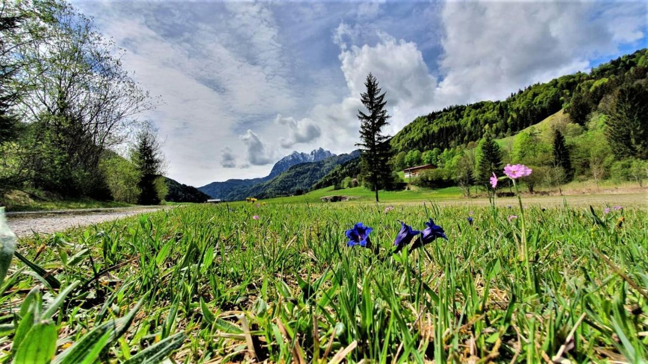 Haus Christl Am Horn Lägenhet Sankt Johann in Tirol Exteriör bild